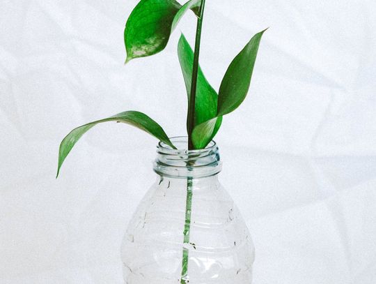 Bezpieczeństwo i jakość: proces produkcji butelek plastikowych w Omega Plastics