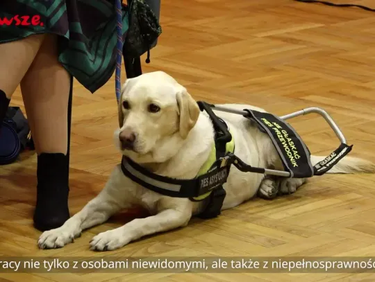 Informacje z Mazowsza (14.04.2025)