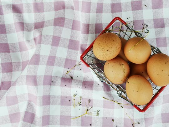 Jak dobrać odpowiedni obrus na stół?