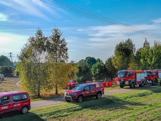 Płonący las w scenariuszu ćwiczeń. Wielkie manewry strażaków w Nadleśnictwie Dwukoły