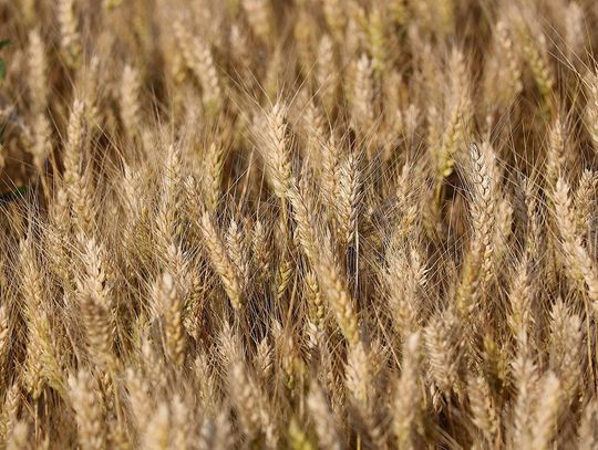 Worki big bag do magazynowania i transportu materiałów sypkich