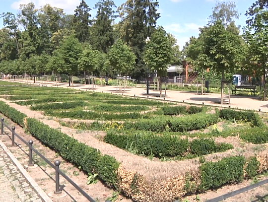 Zmiany w zabytkowym parku