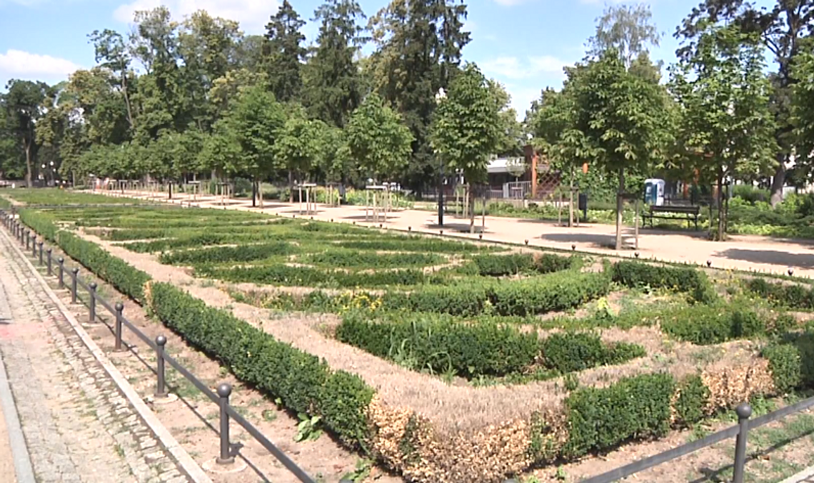 Zmiany w zabytkowym parku